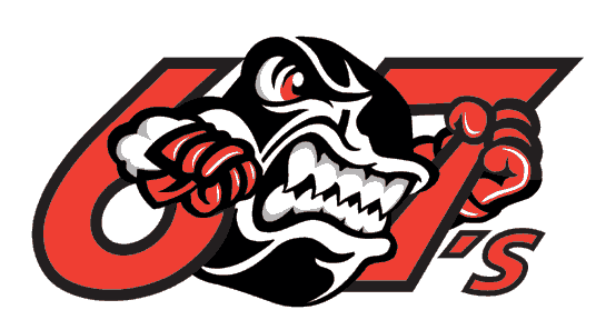 Ottawa 67s 1998 -2007 alternate logo iron on heat transfer